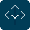 icon process